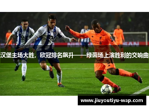 汉堡主场大胜，欧冠排名飙升——绿茵场上演胜利的交响曲