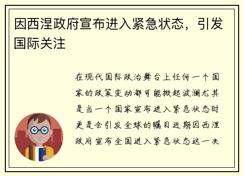 因西涅政府宣布进入紧急状态，引发国际关注