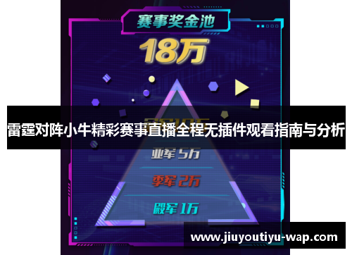 雷霆对阵小牛精彩赛事直播全程无插件观看指南与分析